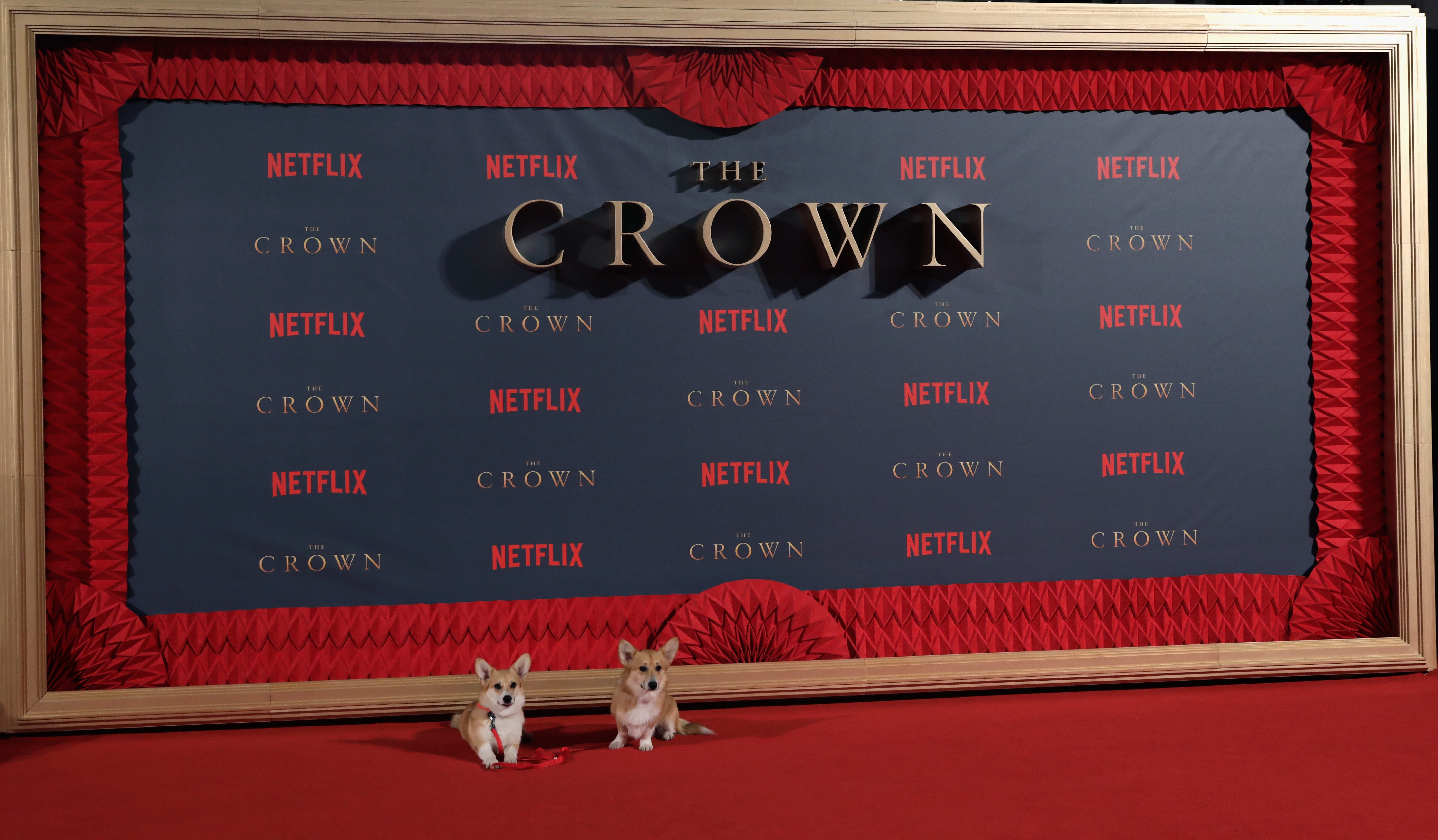 LONDON, ENGLAND - NOVEMBER 21: Royal Corgis at the World Premiere of season 2 of Netflix "The Crown" at Odeon Leicester Square on November 21, 2017 in London, England. (Photo by John Phillips/Getty Images)